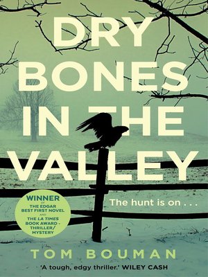 cover image of Dry Bones in the Valley